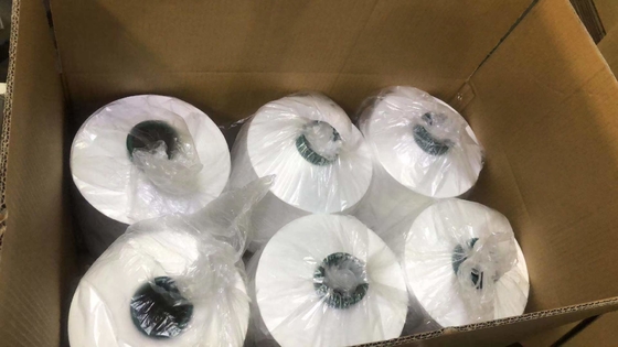 75D/36F 원시 흰색 DTY 폴리에스터 가재