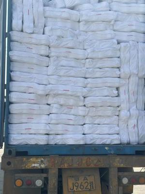 40/3 원시 백색 100% 폴리에스터 스푼 가닥